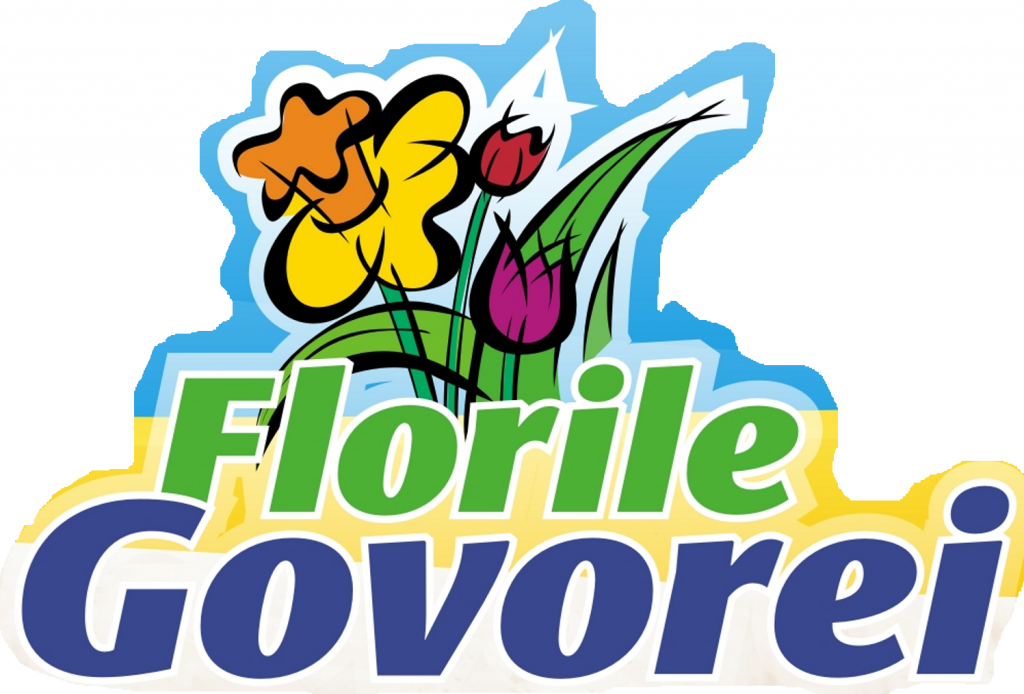 Zilele Orasului Baile Govora 2017 Zilele Orasului Baile Govora 2017
