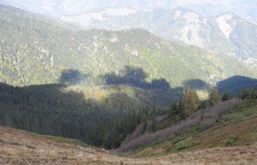 01 Vale în Munţii Căpăţânii