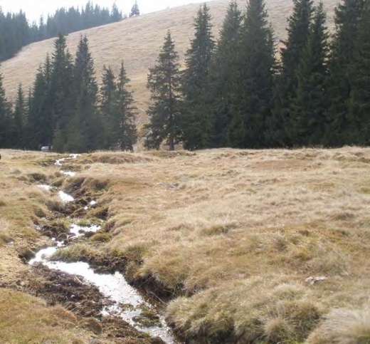 03 Pârâu în Munţii Căpăţânii, peisaj de toamnă